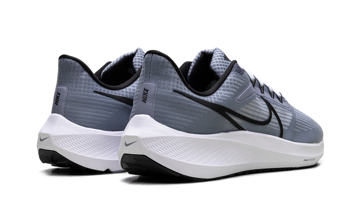 Air Zoom Pegasus 39 "Ashen Slate / Black" DH4071 401