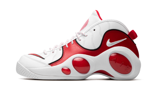 Air Zoom Flight 95 "True Red" DX1165 100
