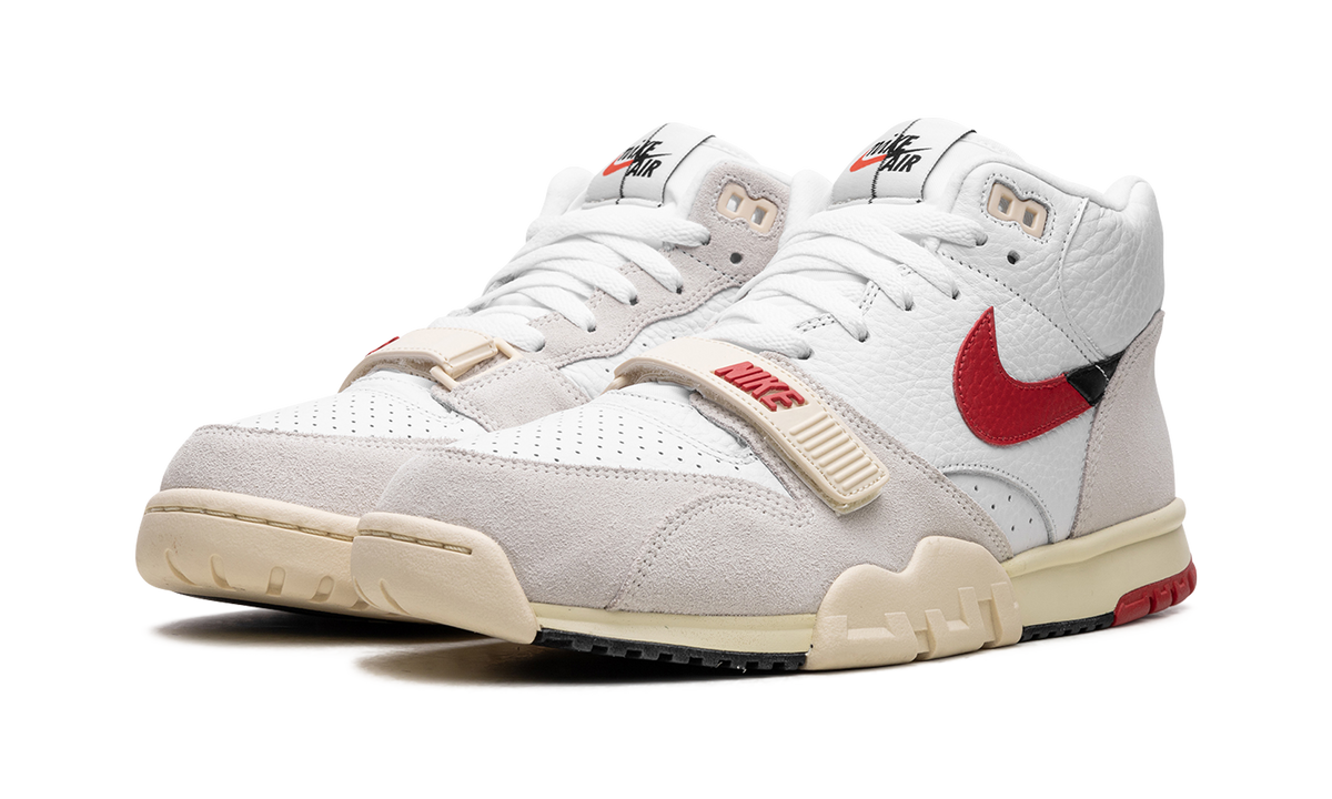 Air Trainer 1 "Split - Chicago" DZ2547 100