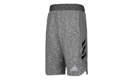 Pick Up Shorts "Grey" CE6959