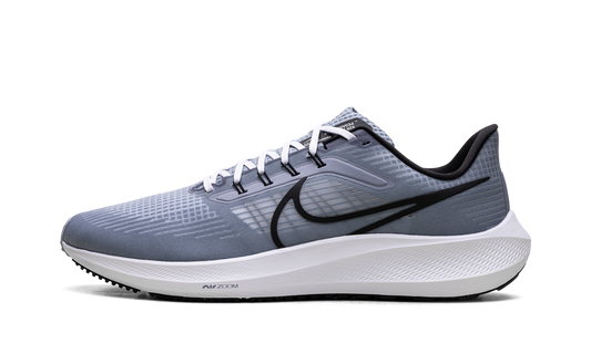 Air Zoom Pegasus 39 "Ashen Slate / Black" DH4071 401